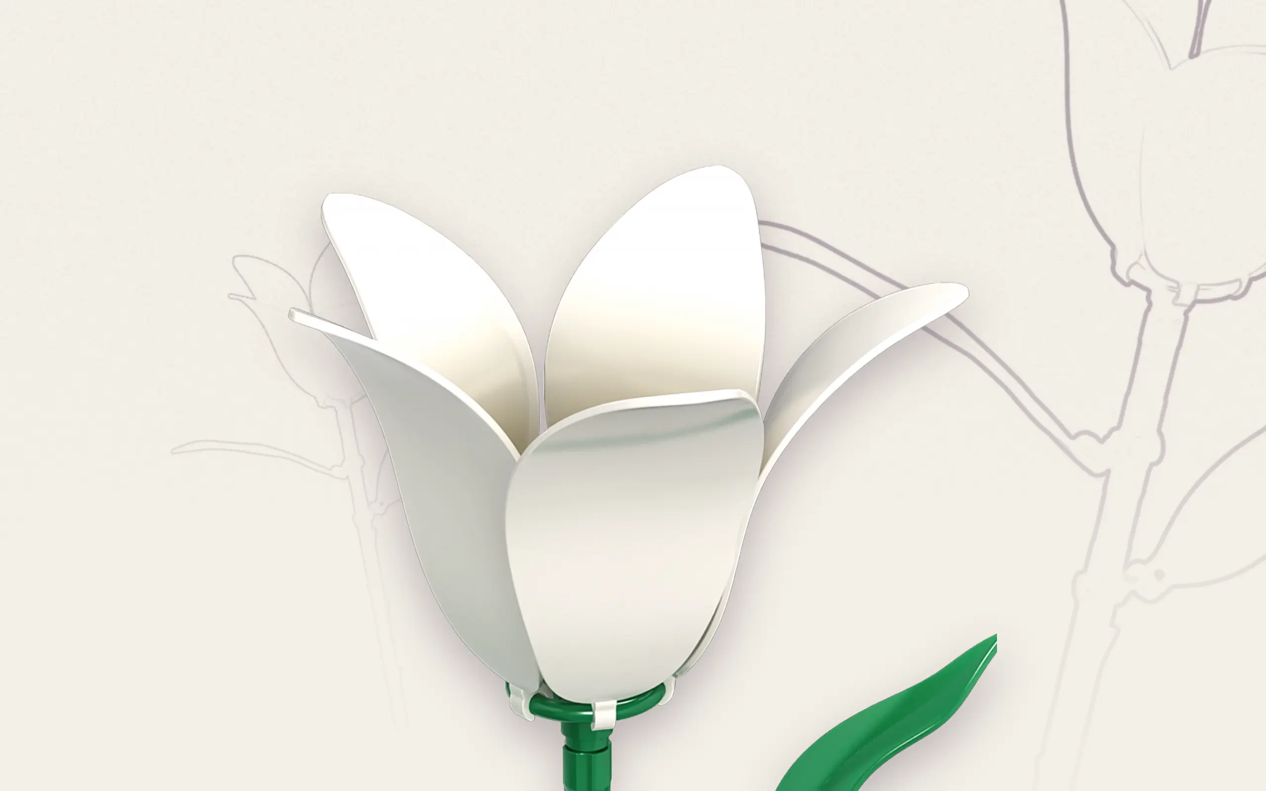 Einzelblume Orchidee – Bild 4