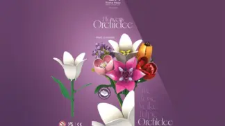 Einzelblume Orchidee