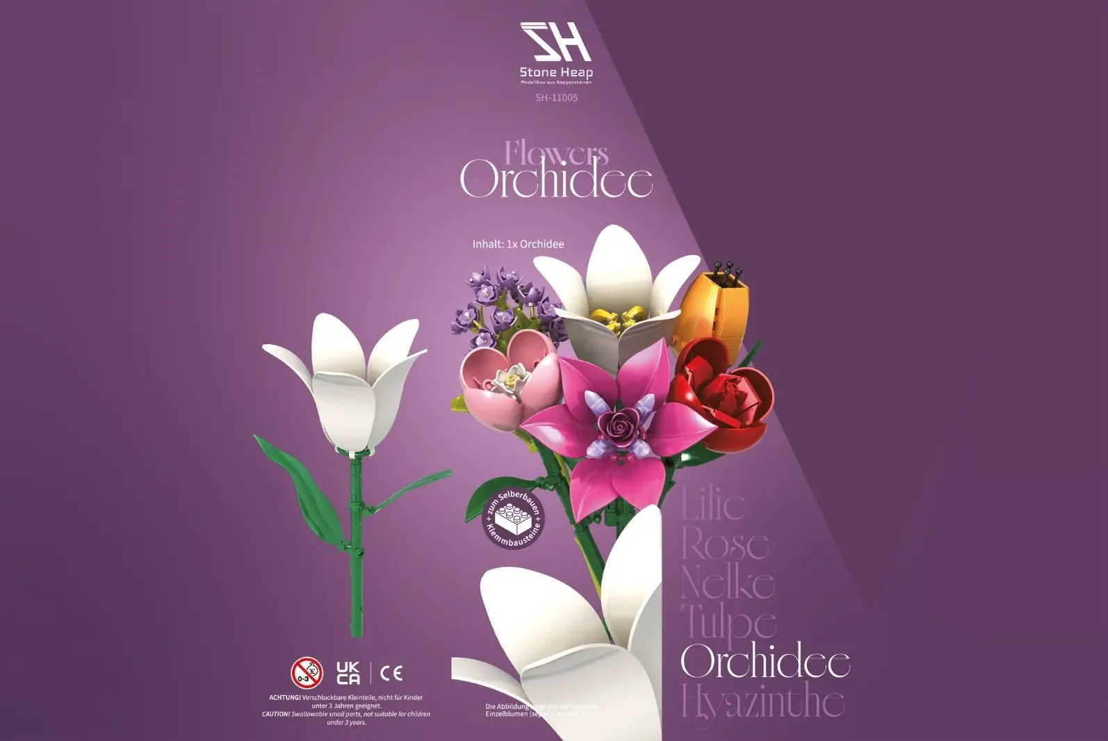 Einzelblume Orchidee