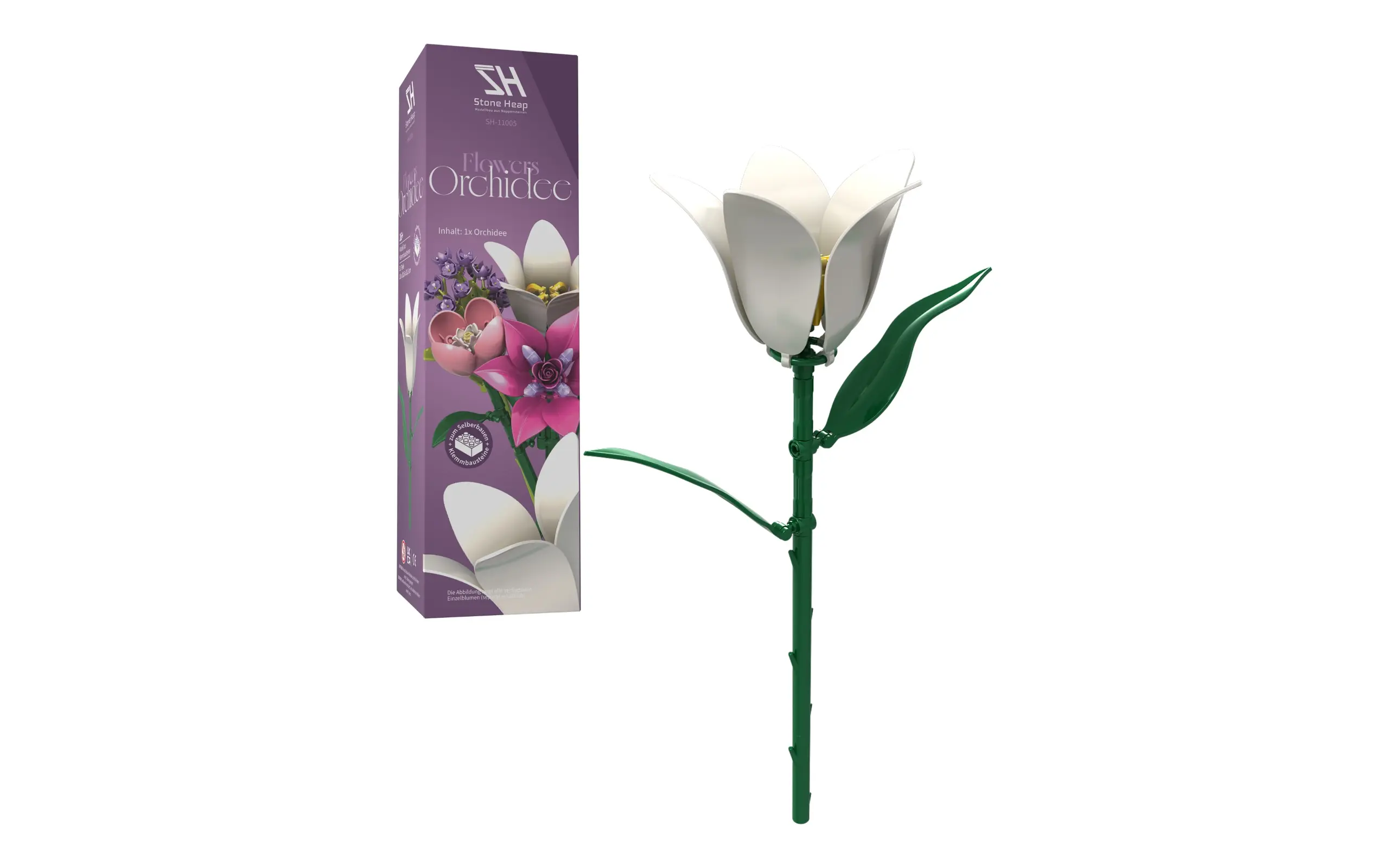 Einzelblume Orchidee – Bild 2