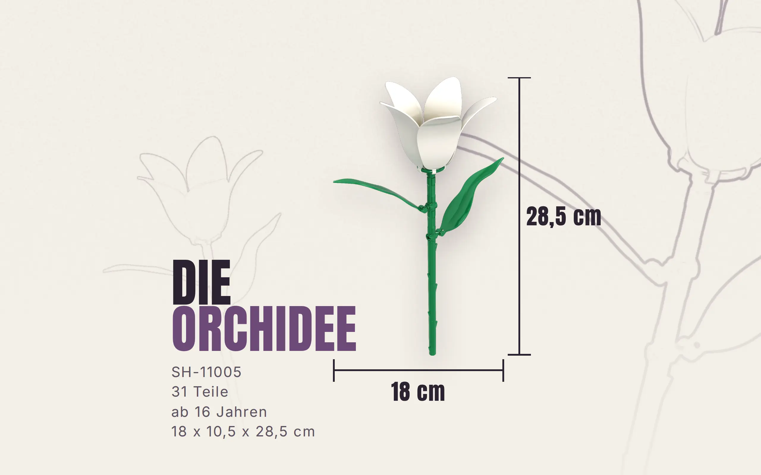 Einzelblume Orchidee – Bild 3