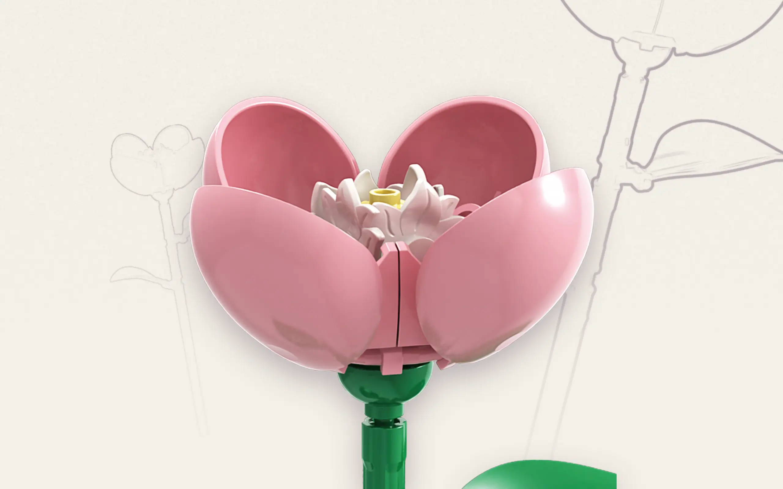 Einzelblume Nelke – Bild 4
