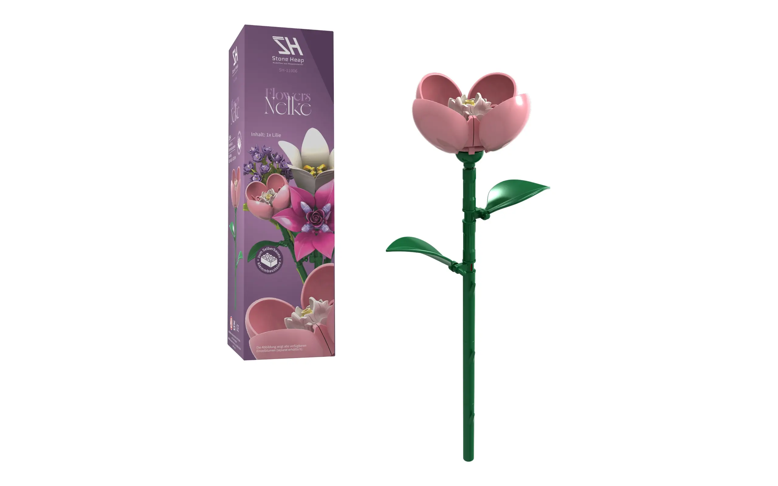 Einzelblume Nelke – Bild 2