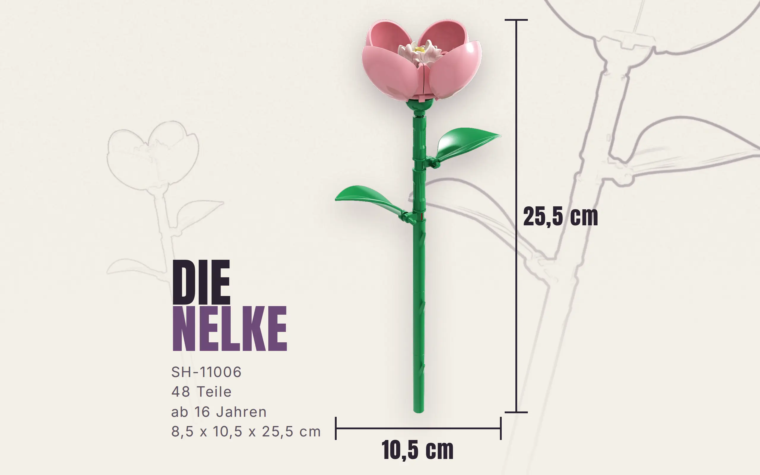 Einzelblume Nelke – Bild 3
