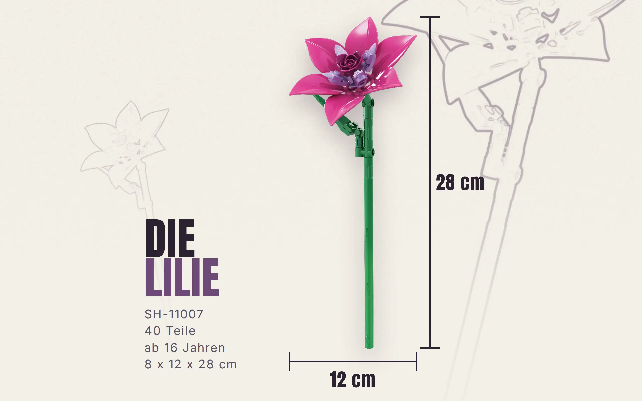 Einzelblume Lilie – Bild 3