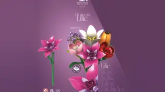 Einzelblume Lilie