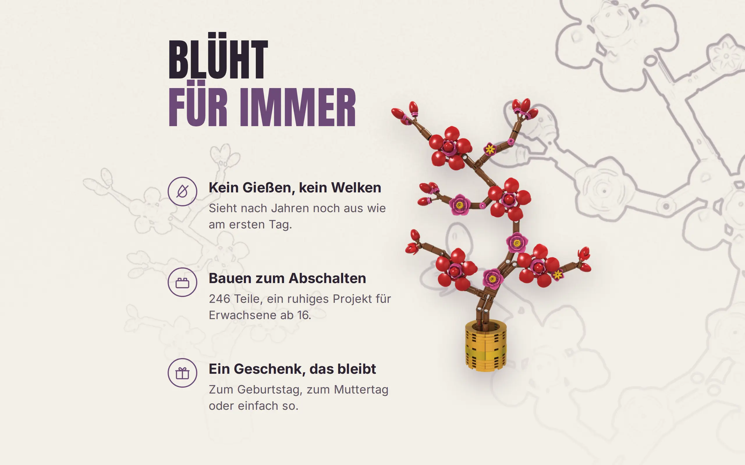 Wildrosenzweig – Bild 6