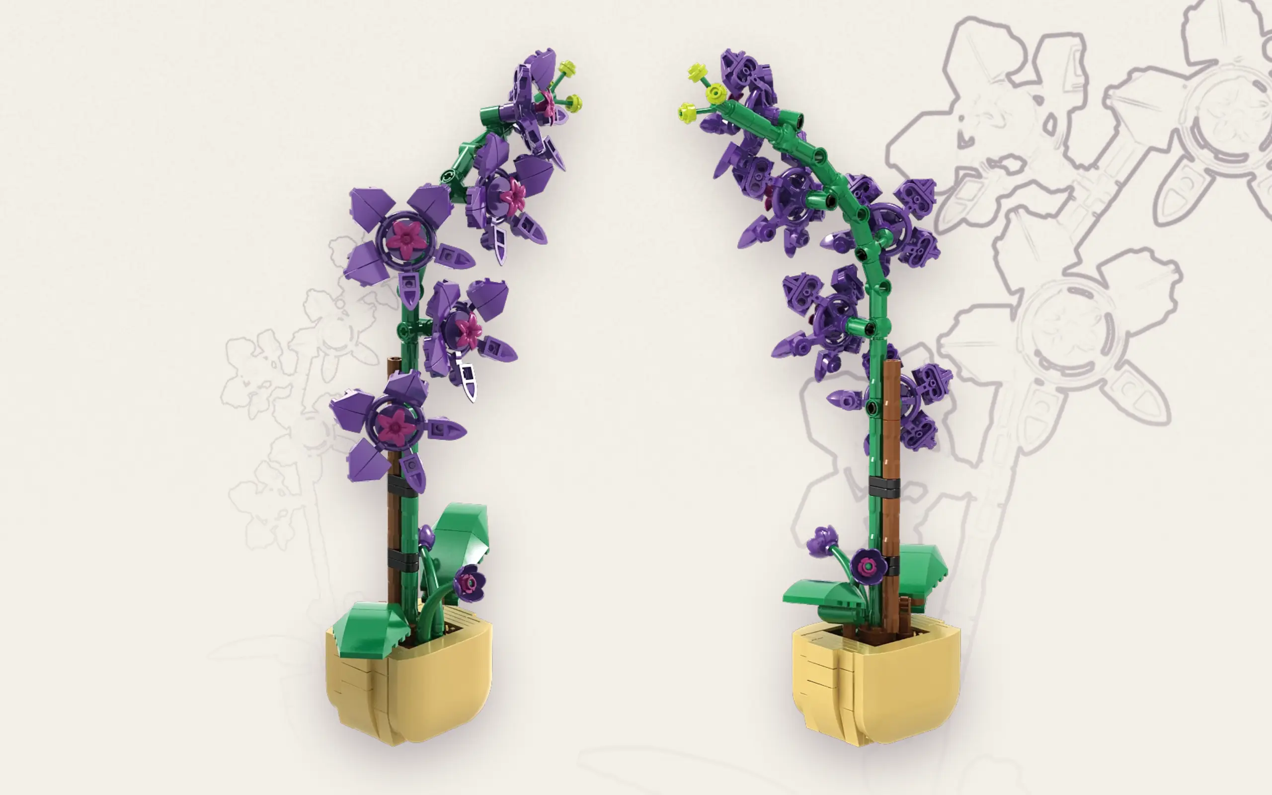 Orchidee im Topf – Bild 4