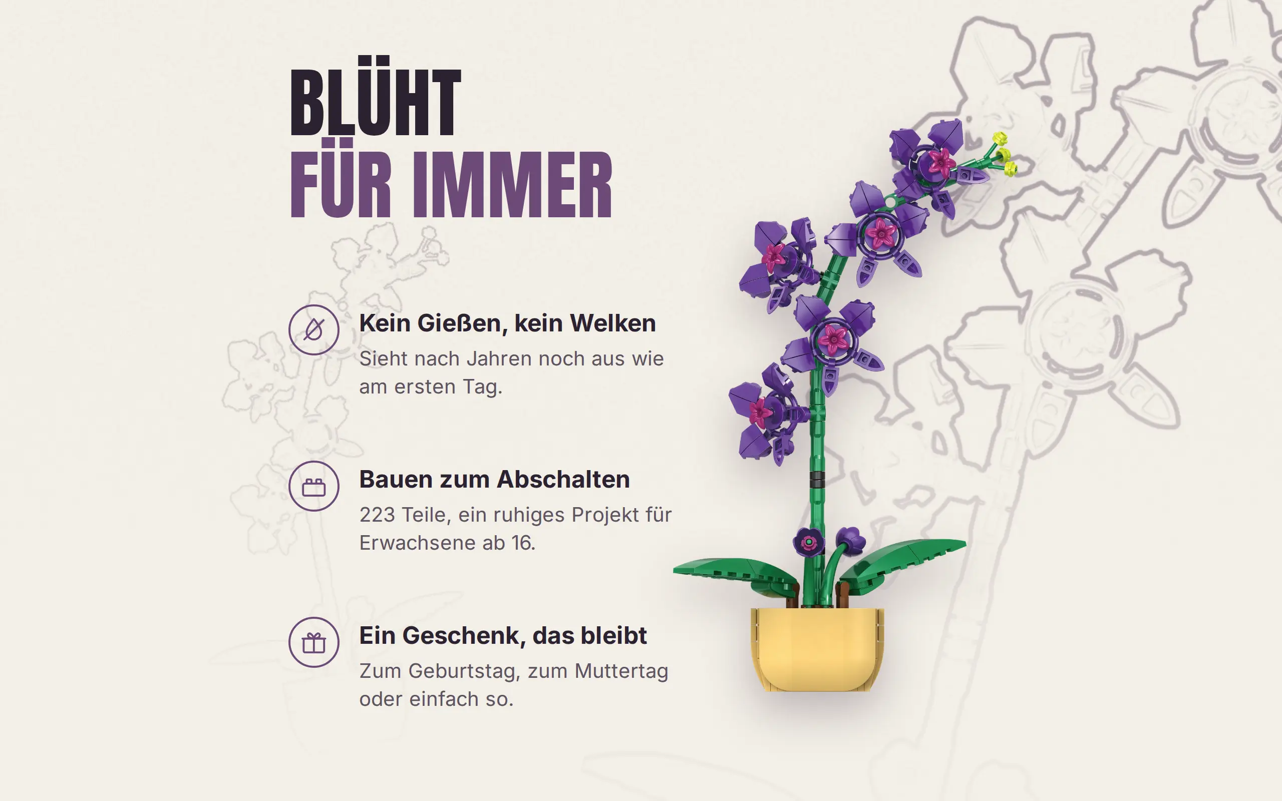 Orchidee im Topf – Bild 6