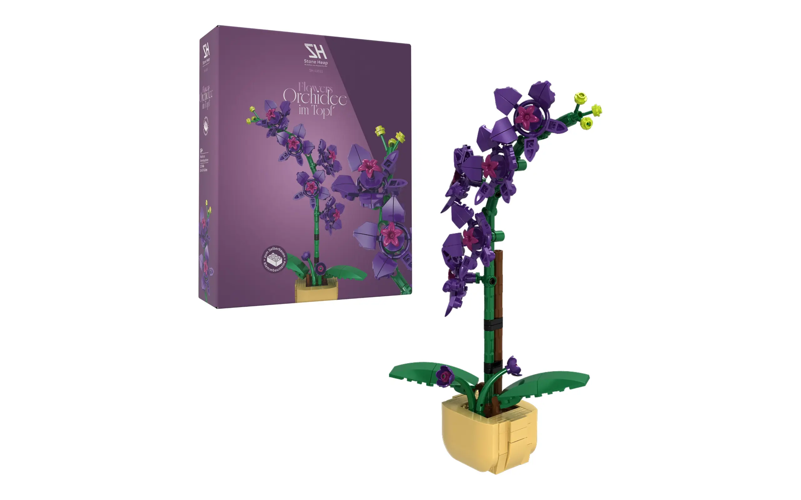 Orchidee im Topf