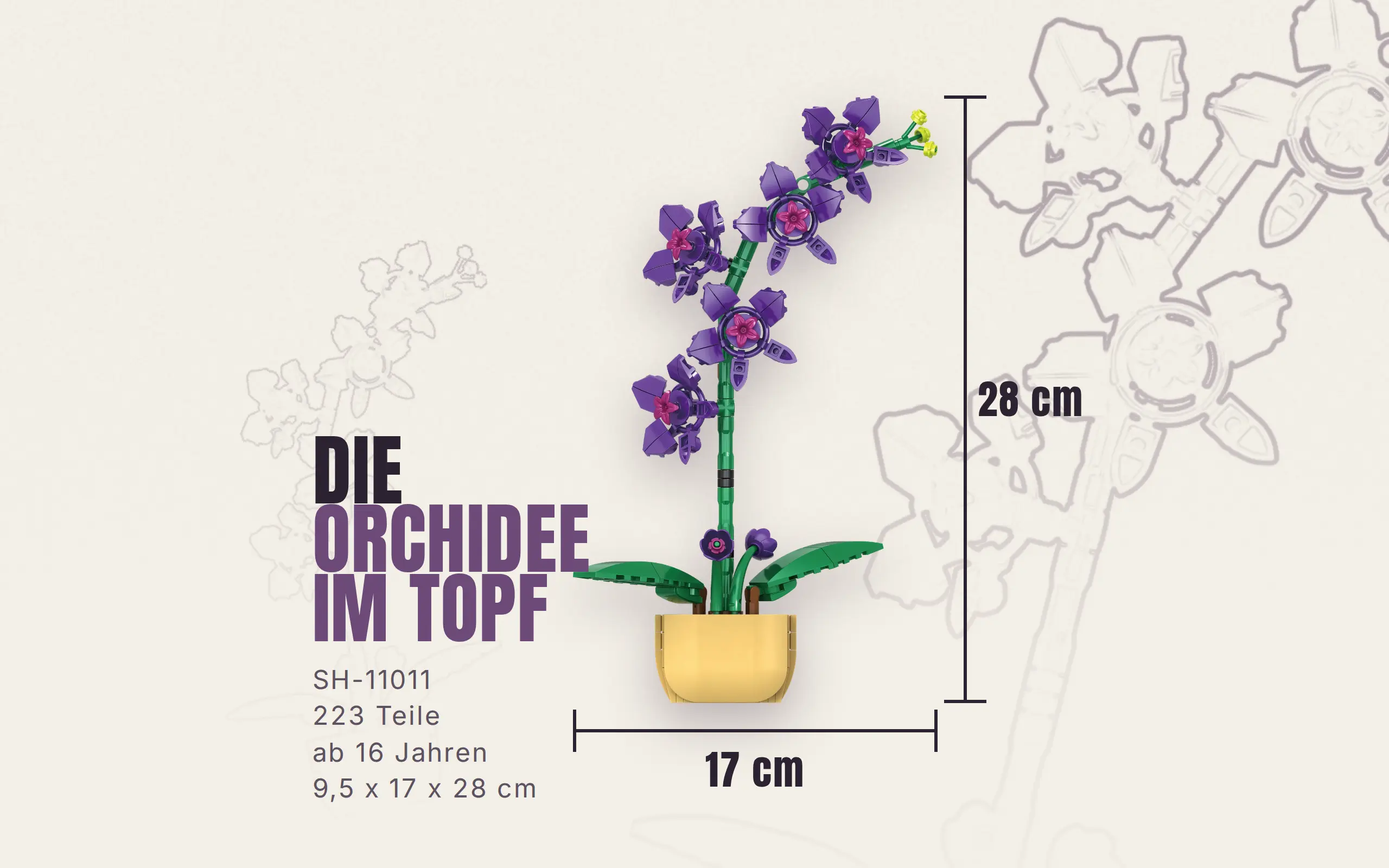 Orchidee im Topf – Bild 3